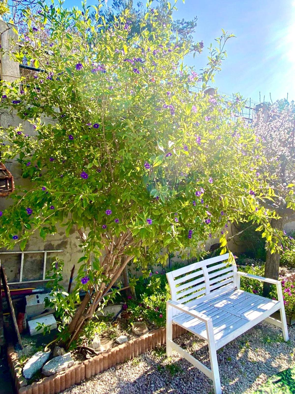 Appartement Ma Calanque Le Rove