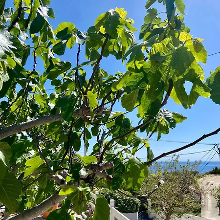 Ferienwohnung Ma Calanque Le Rove Exterior foto