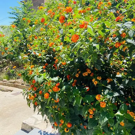 Ferienwohnung Ma Calanque Le Rove Exterior foto